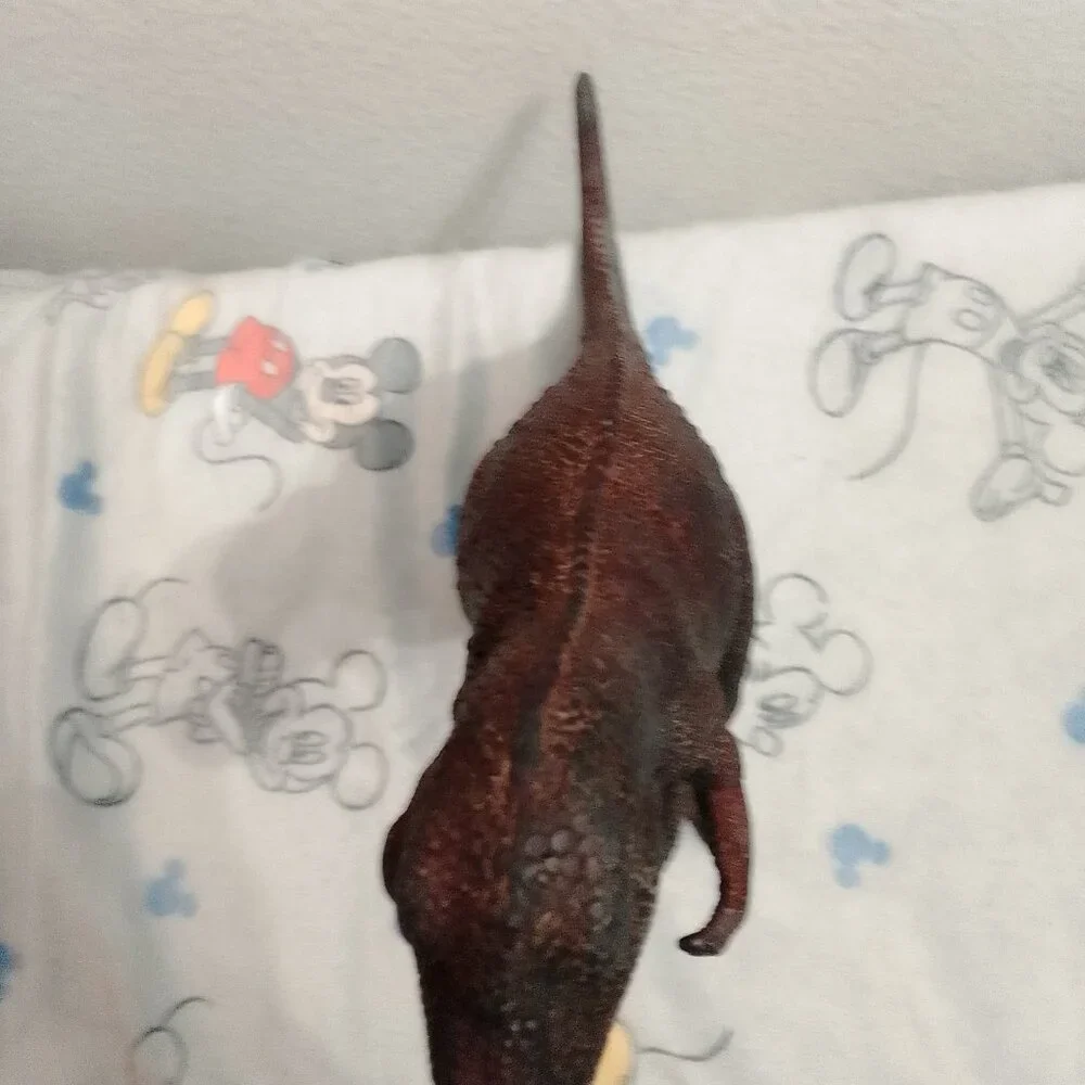 Dinosaur Toy